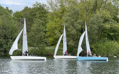 Mairegatta im Schwertzugvogel am Töppersee