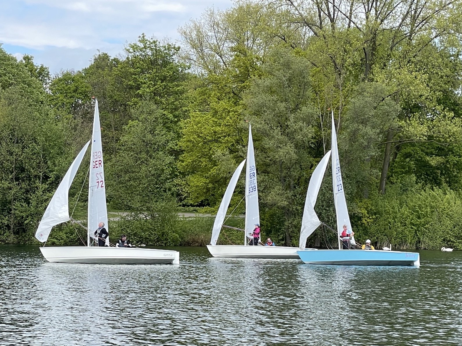 Mairegatta im Schwertzugvogel am Töppersee