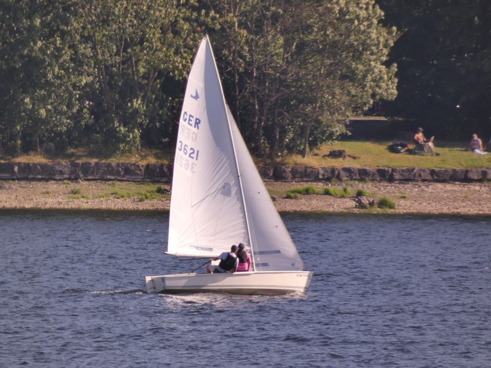 German Open Schwertzugvogel