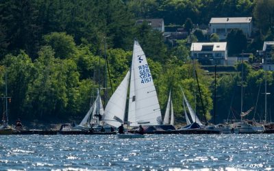 Kielzugvögel am Rursee