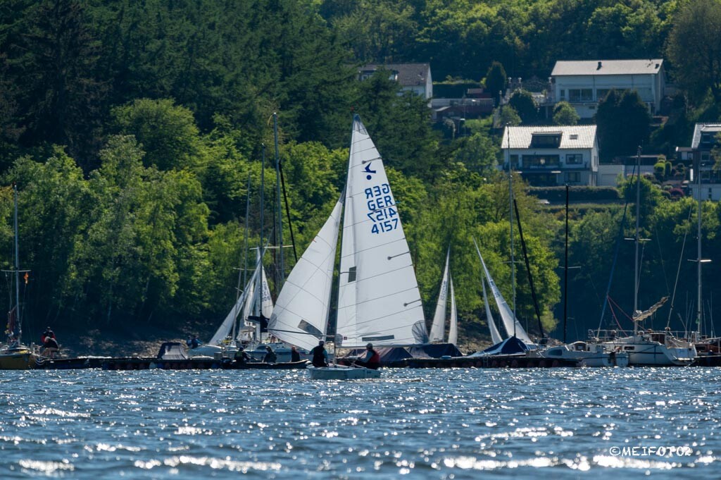Kielzugvögel am Rursee