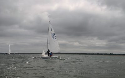 IDM der Kieler oder der Untergang der Elodea